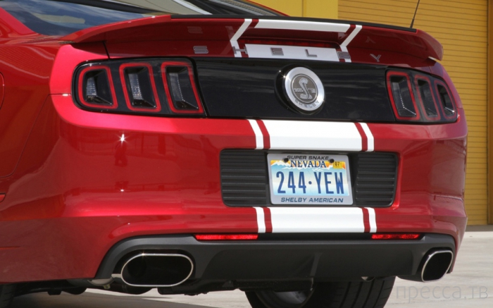 Ford Mustang Shelby GT500 2013 (19 ����)