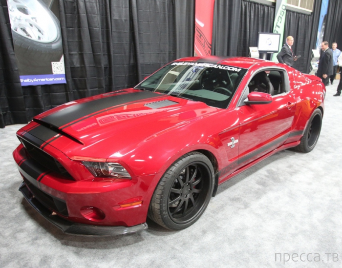 Ford Mustang Shelby GT500 2013 (19 ����)