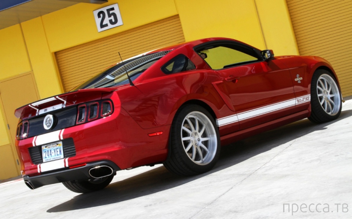 Ford Mustang Shelby GT500 2013 (19 ����)