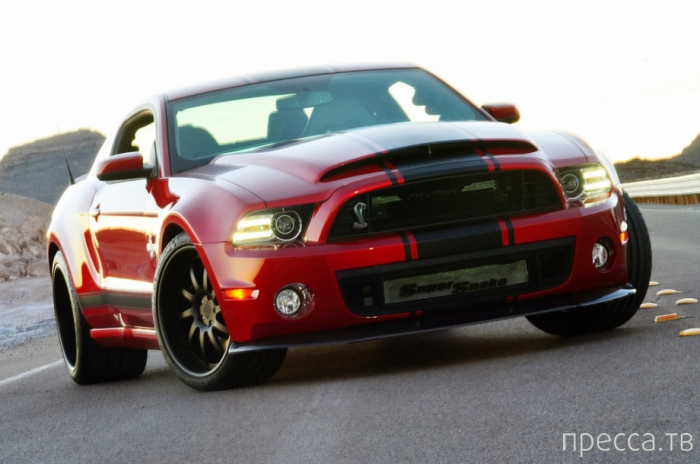 Ford Mustang Shelby GT500 2013 (19 ����)