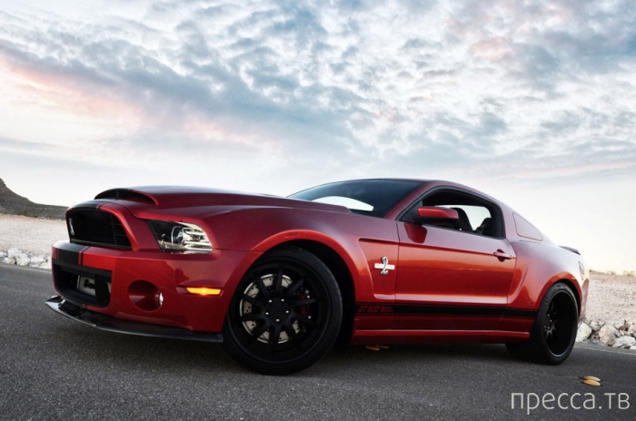 Ford Mustang Shelby GT500 2013 (19 ����)