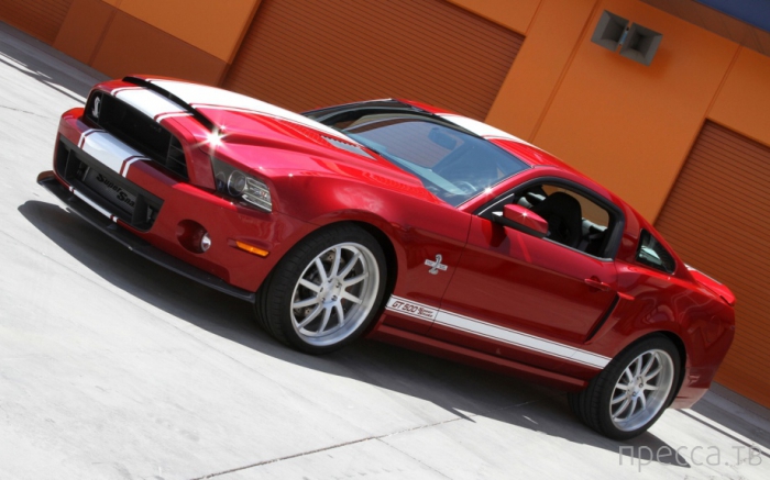 Ford Mustang Shelby GT500 2013 (19 ����)