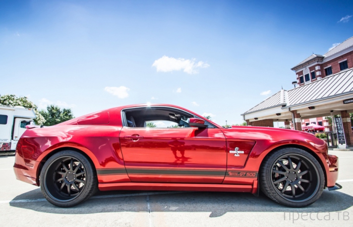 Ford Mustang Shelby GT500 2013 (19 ����)
