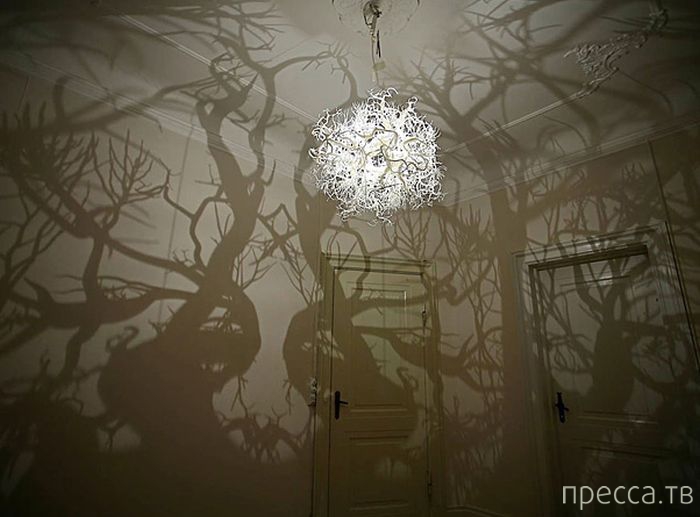 ���������� ������������ ������� ��� ������ ���� ��� �������� (43 ����)