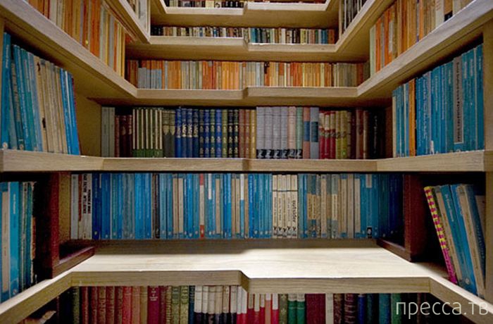 ���������� ������������ ������� ��� ������ ���� ��� �������� (43 ����)