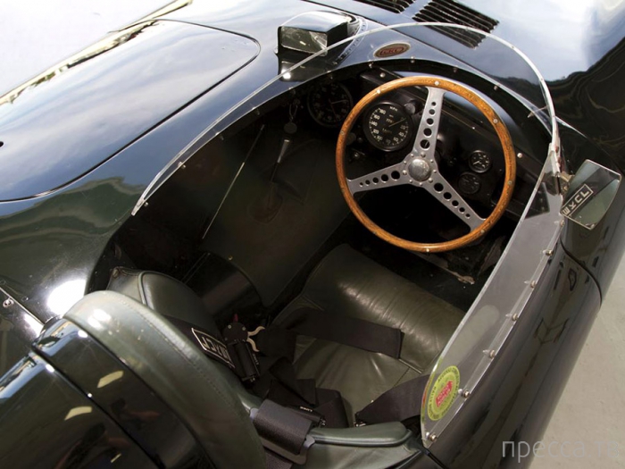 Jaguar D-Type    (3 )