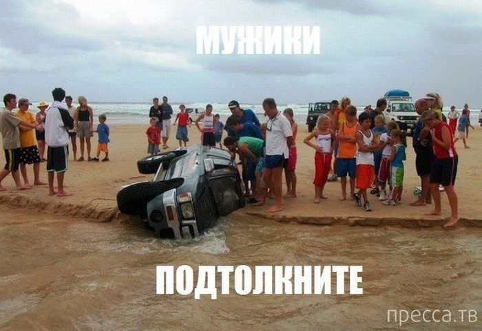 ���������� ���������� ����������� (59 ����)