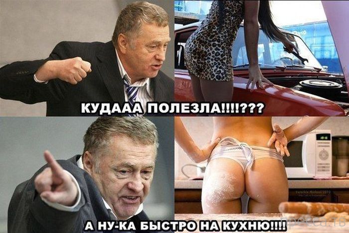 ���������� ���������� ����������� (59 ����)