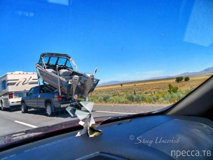 ���������� ���������� ����������� (59 ����)