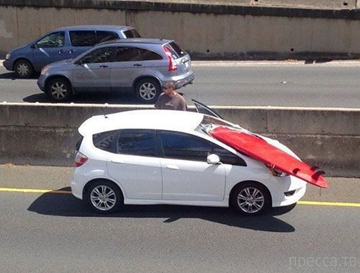 ���������� ���������� ����������� (59 ����)