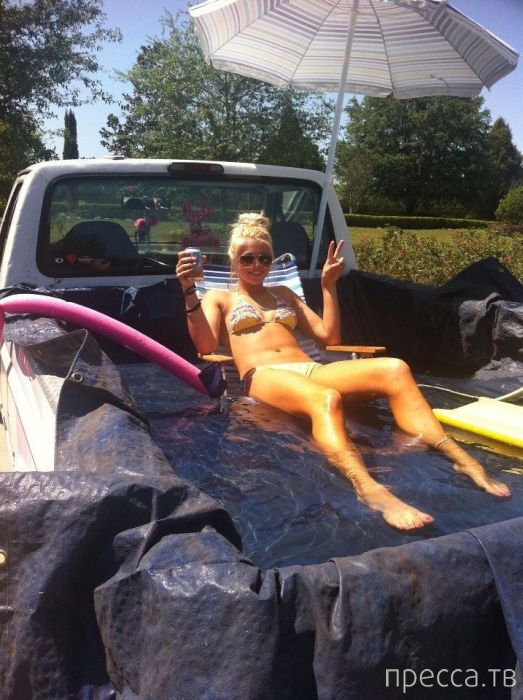 ���������� ���������� ����������� (59 ����)