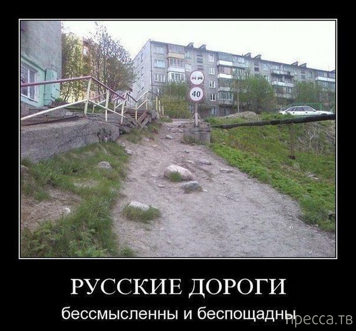 ���������� ���������� ����������� (59 ����)