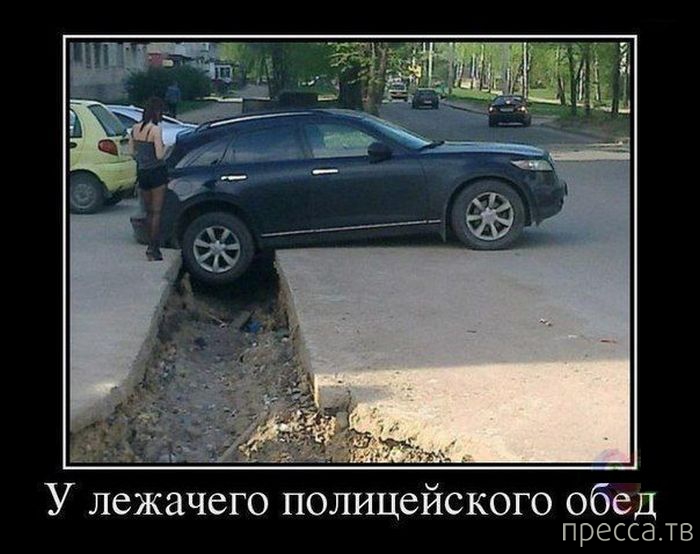 ���������� ���������� ����������� (59 ����)