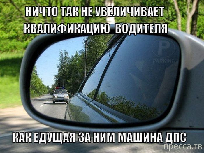 ���������� ���������� ����������� (59 ����)