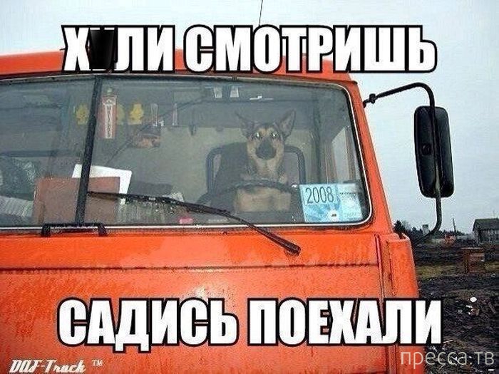 ���������� ���������� ����������� (59 ����)