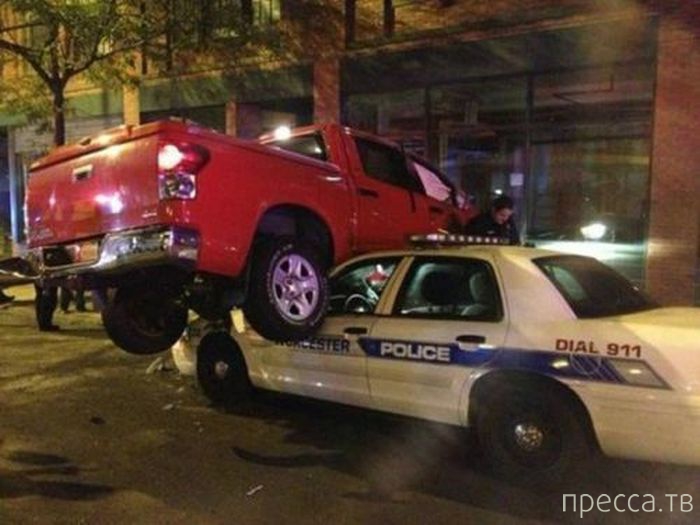 ���������� ���������� ����������� (59 ����)