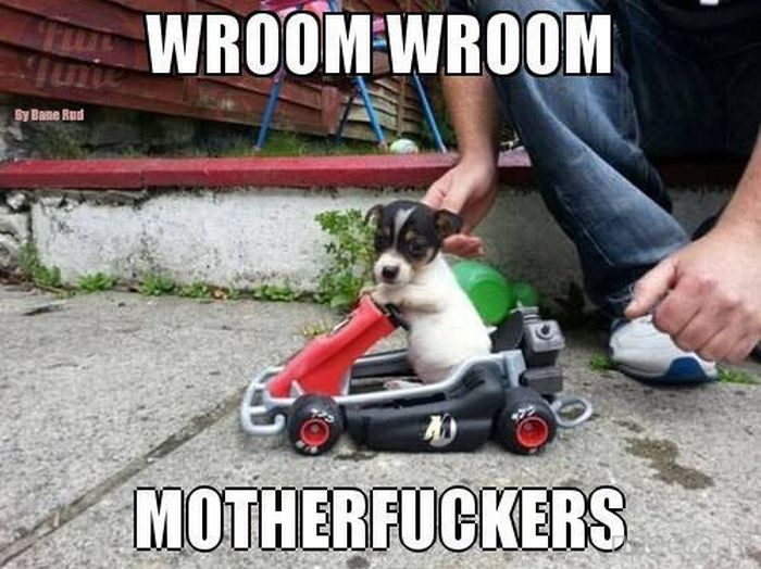 ���������� ���������� ����������� (59 ����)