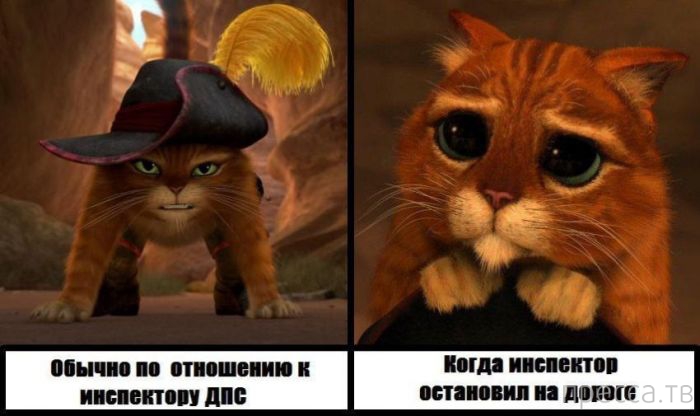 ���������� ���������� ����������� (59 ����)