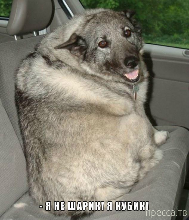 ���������� �������� � ��������� (25 ����)