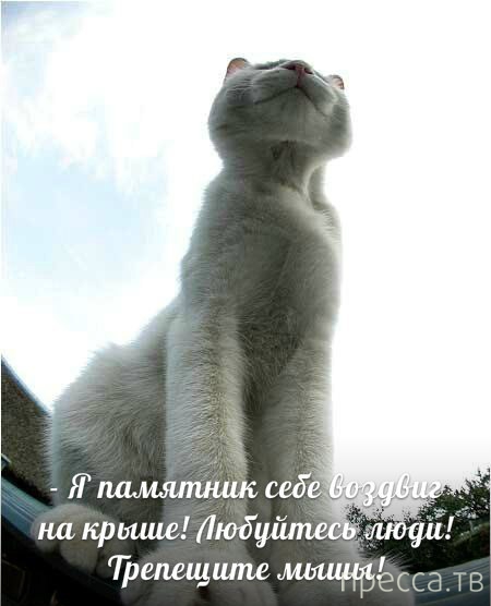 ���������� �������� � ��������� (25 ����)