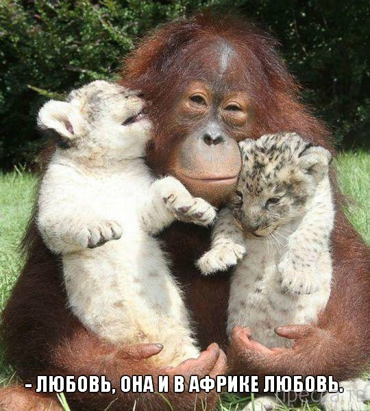 ���������� �������� � ��������� (25 ����)