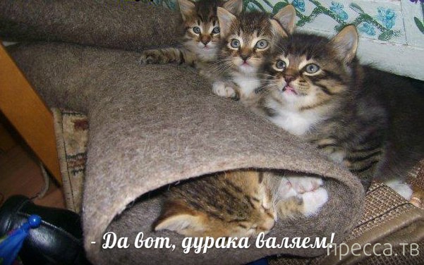 ���������� �������� � ��������� (25 ����)