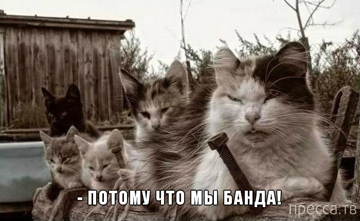 ���������� �������� � ��������� (25 ����)