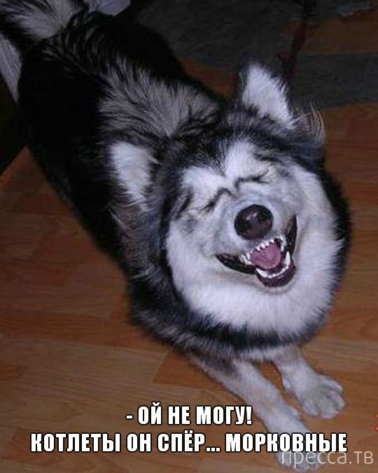 ���������� �������� � ��������� (25 ����)