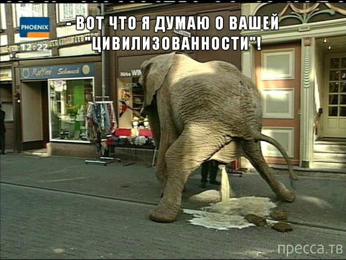 ���������� �������� � ��������� (25 ����)