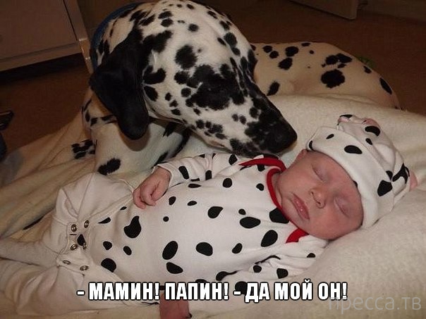 ���������� �������� � ��������� (25 ����)