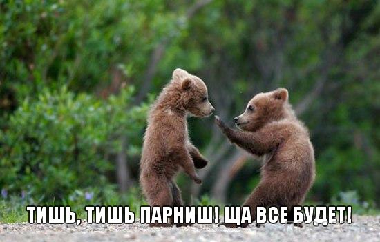 ���������� �������� � ��������� (25 ����)