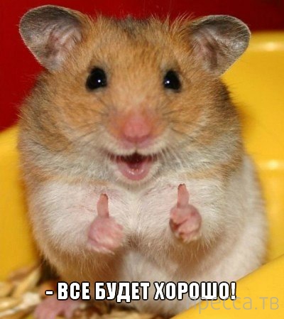 ���������� �������� � ��������� (25 ����)