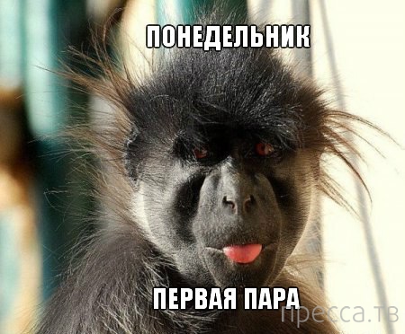 ���������� �������� � ��������� (25 ����)