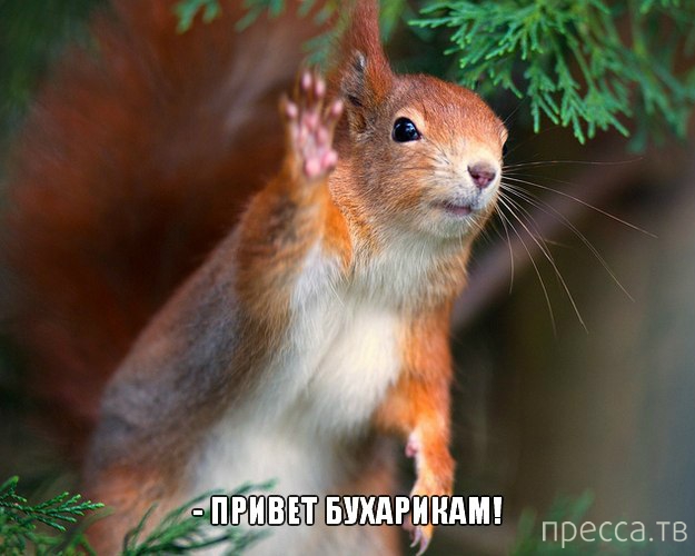 ���������� �������� � ��������� (25 ����)