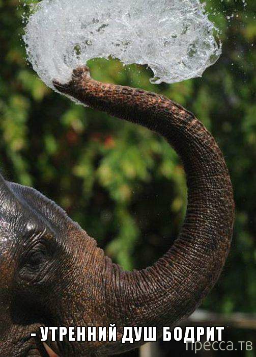 ���������� �������� � ��������� (25 ����)