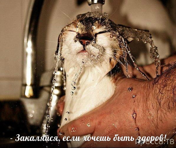 ���������� �������� � ��������� (25 ����)