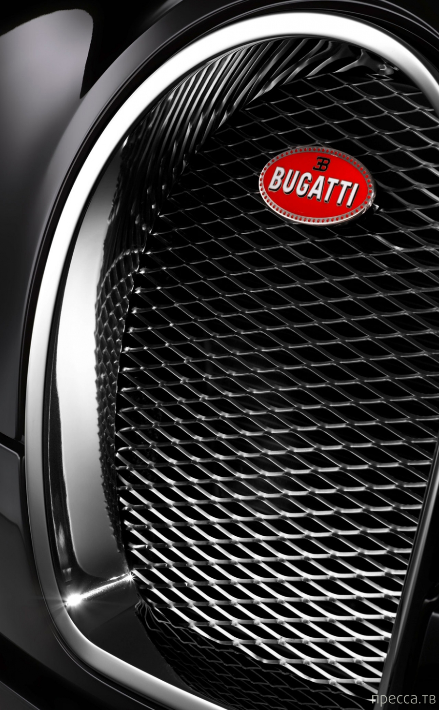    Bugatti (8 )