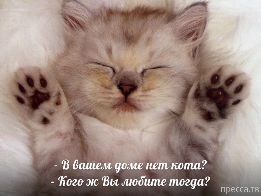 ���������� �������� � ��������� (25 ����)