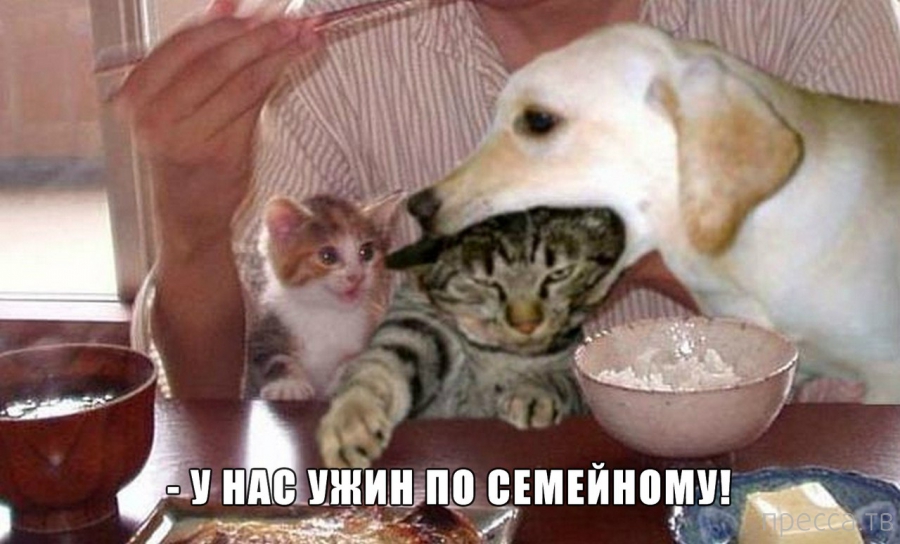 ���������� �������� � ��������� (25 ����)