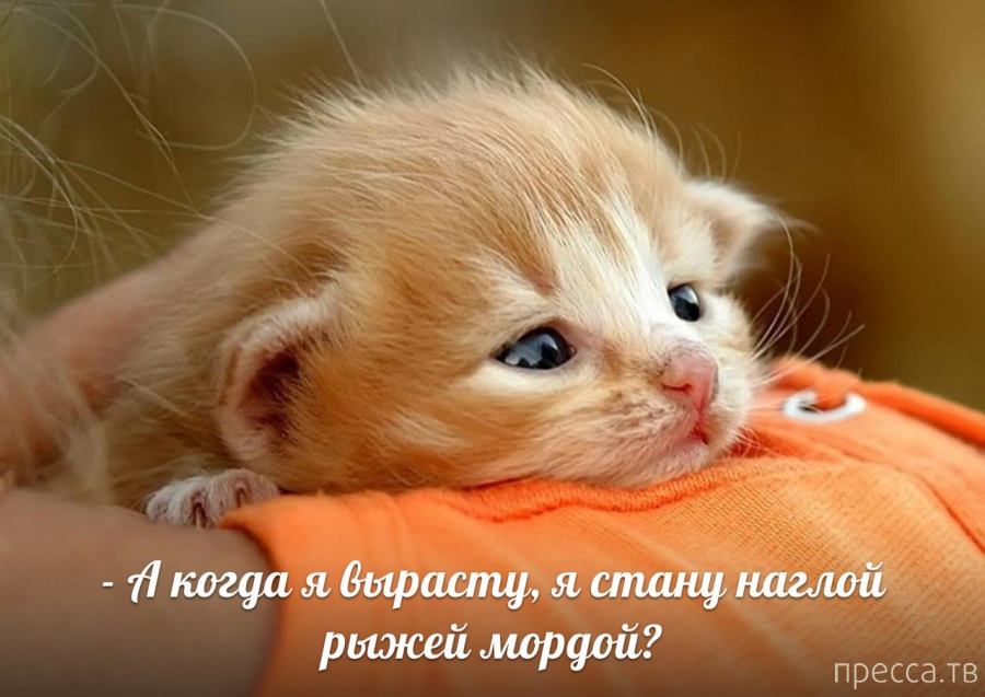 ���������� �������� � ��������� (25 ����)