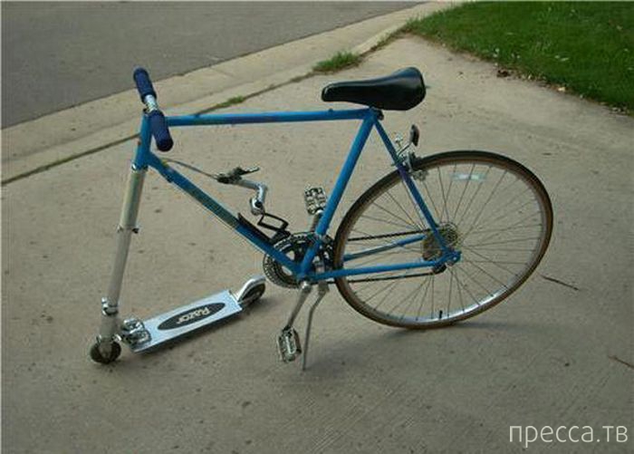 �������� ������� �� �����: "�������, � ��� �������!" (42 ����)