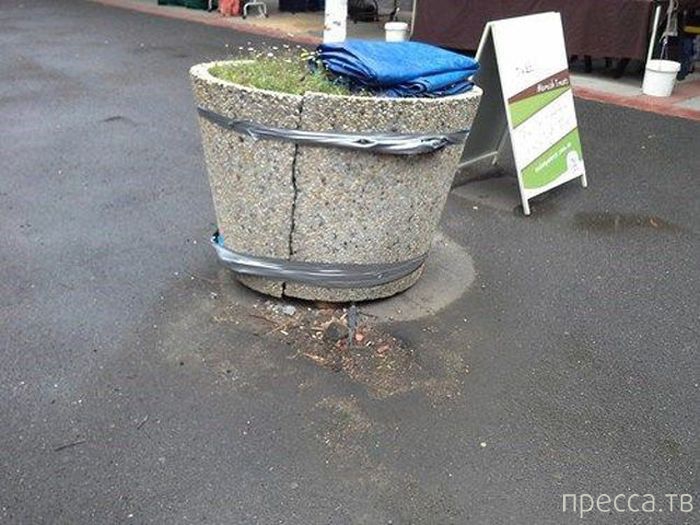 �������� ������� �� �����: "�������, � ��� �������!" (42 ����)