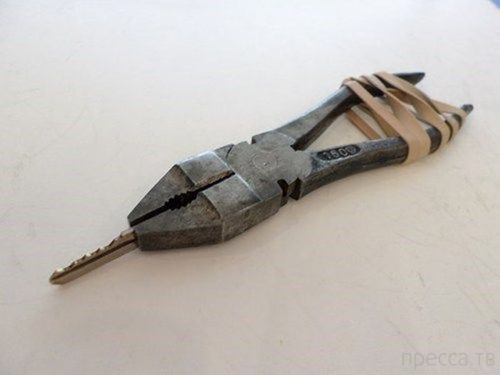 �������� ������� �� �����: "�������, � ��� �������!" (42 ����)