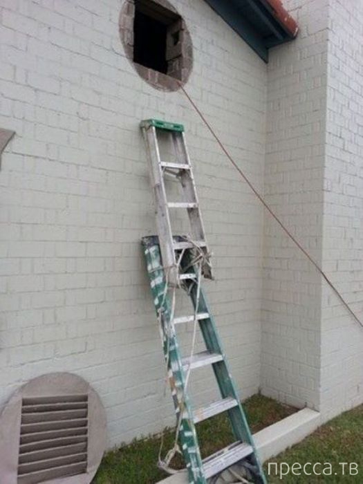 �������� ������� �� �����: "�������, � ��� �������!" (42 ����)