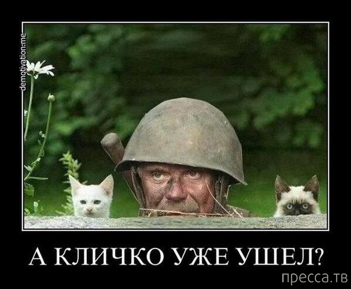 ������� � �������� ��� ���������� ��� "������ - ��������" (29 ����)