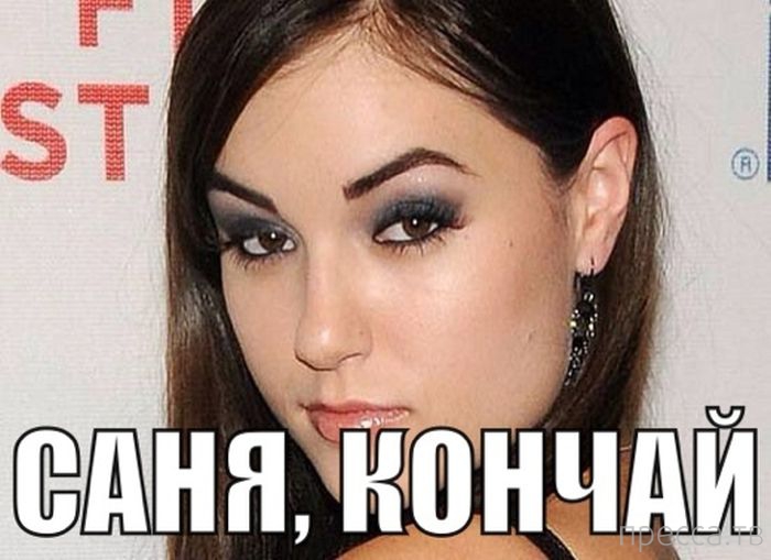 ������� � �������� ��� ���������� ��� "������ - ��������" (29 ����)