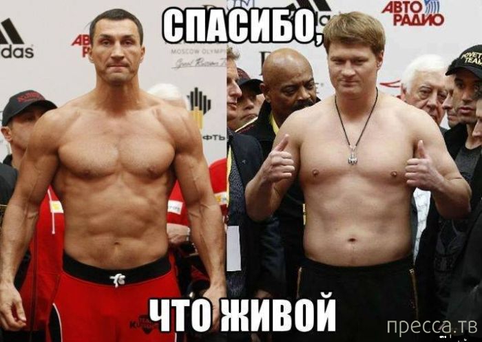 ������� � �������� ��� ���������� ��� "������ - ��������" (29 ����)