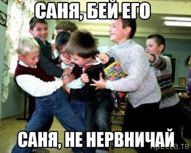 ������� � �������� ��� ���������� ��� "������ - ��������" (29 ����)