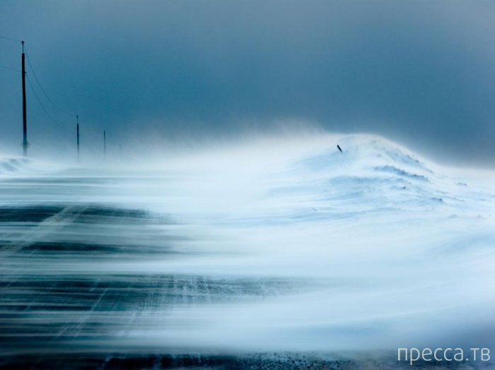 ������ ���������� National Geographic �� �������� 2013 (31 ����)