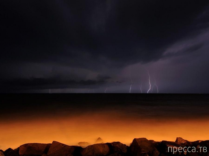 ������ ���������� National Geographic �� �������� 2013 (31 ����)